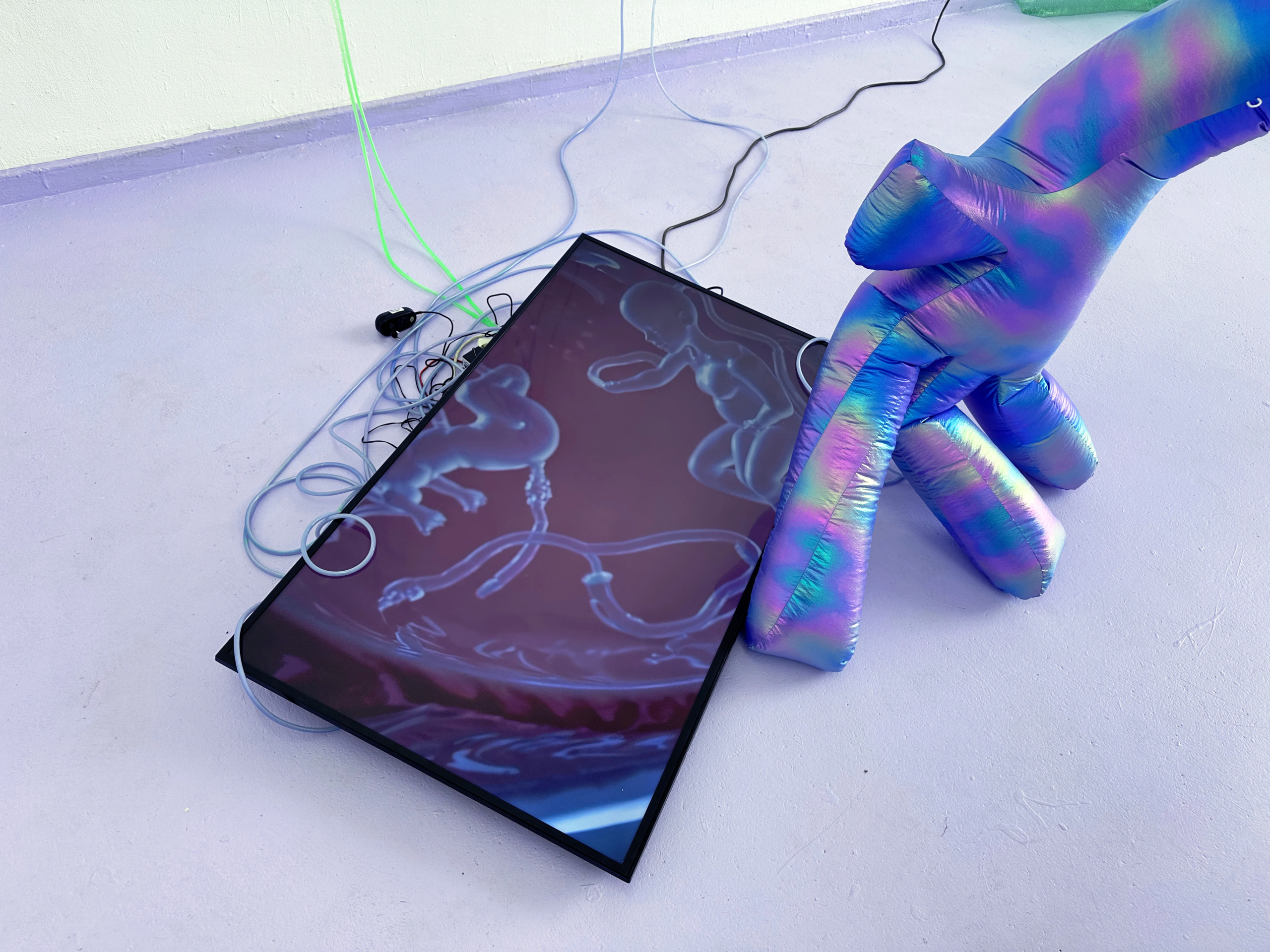 HYEPAK – Das verbundene Ungeborene HYEPAK – Das verbundene Ungeborene