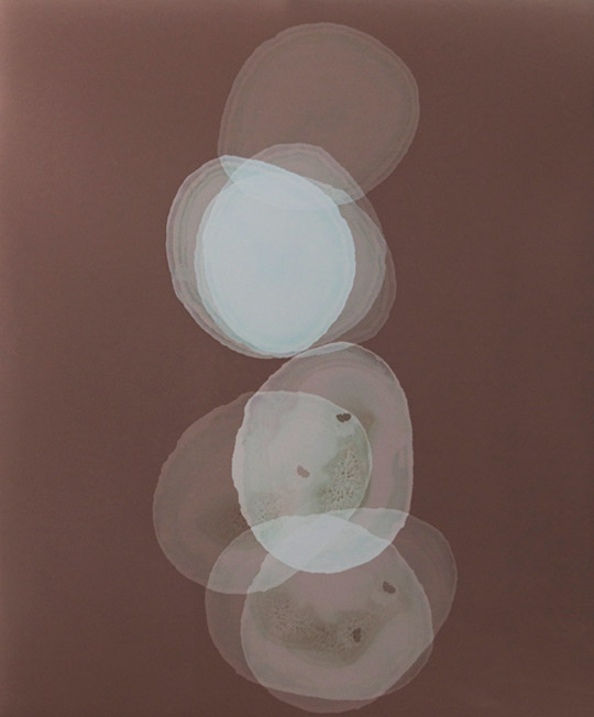 Natascha Borowsky – echo 17 – 52x43cm – analoges Fotogramm (2023) Natascha Borowsky – echo 17 – 52x43cm – analoges Fotogramm (2023)