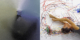 MOOVE - FREEZE Reni Scholz und Britta Lieberknecht - ein Dialog; Foto, Zeichnung, Action Painting